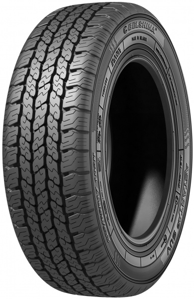 Scheda Variante Pneumatico &rsaquo; Marca: Belshina &rsaquo; Modello: Bel-295