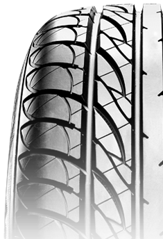 Scheda Variante Pneumatico &rsaquo; Marca: Blacklion &rsaquo; Modello: BU64 Champoint A/S