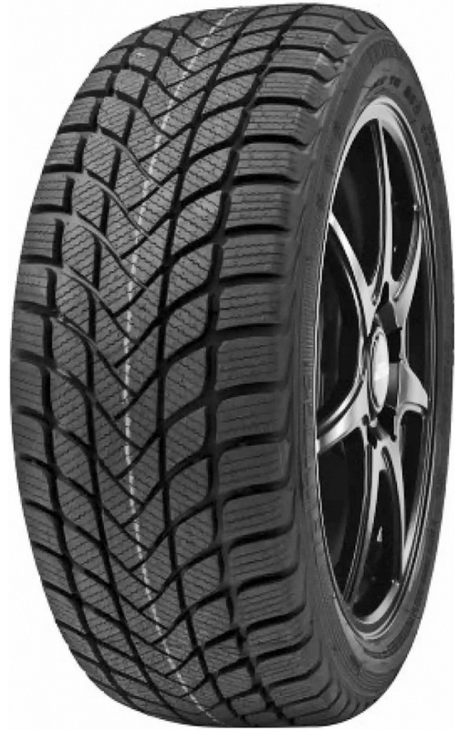Scheda Variante Pneumatico &rsaquo; Marca: Delinte &rsaquo; Modello: Winter WD6